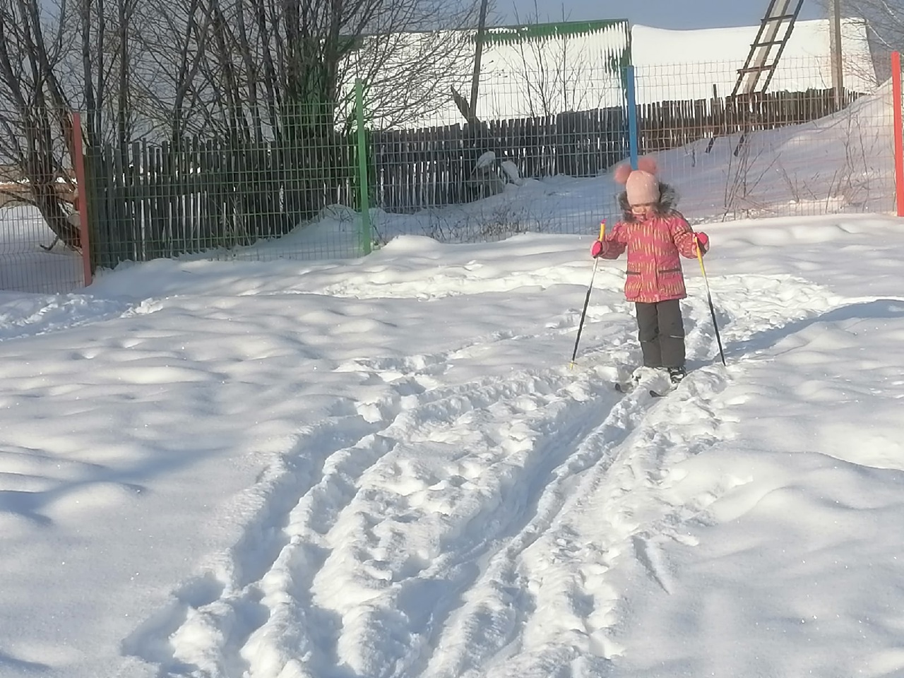 Габова Дарья Андреевна