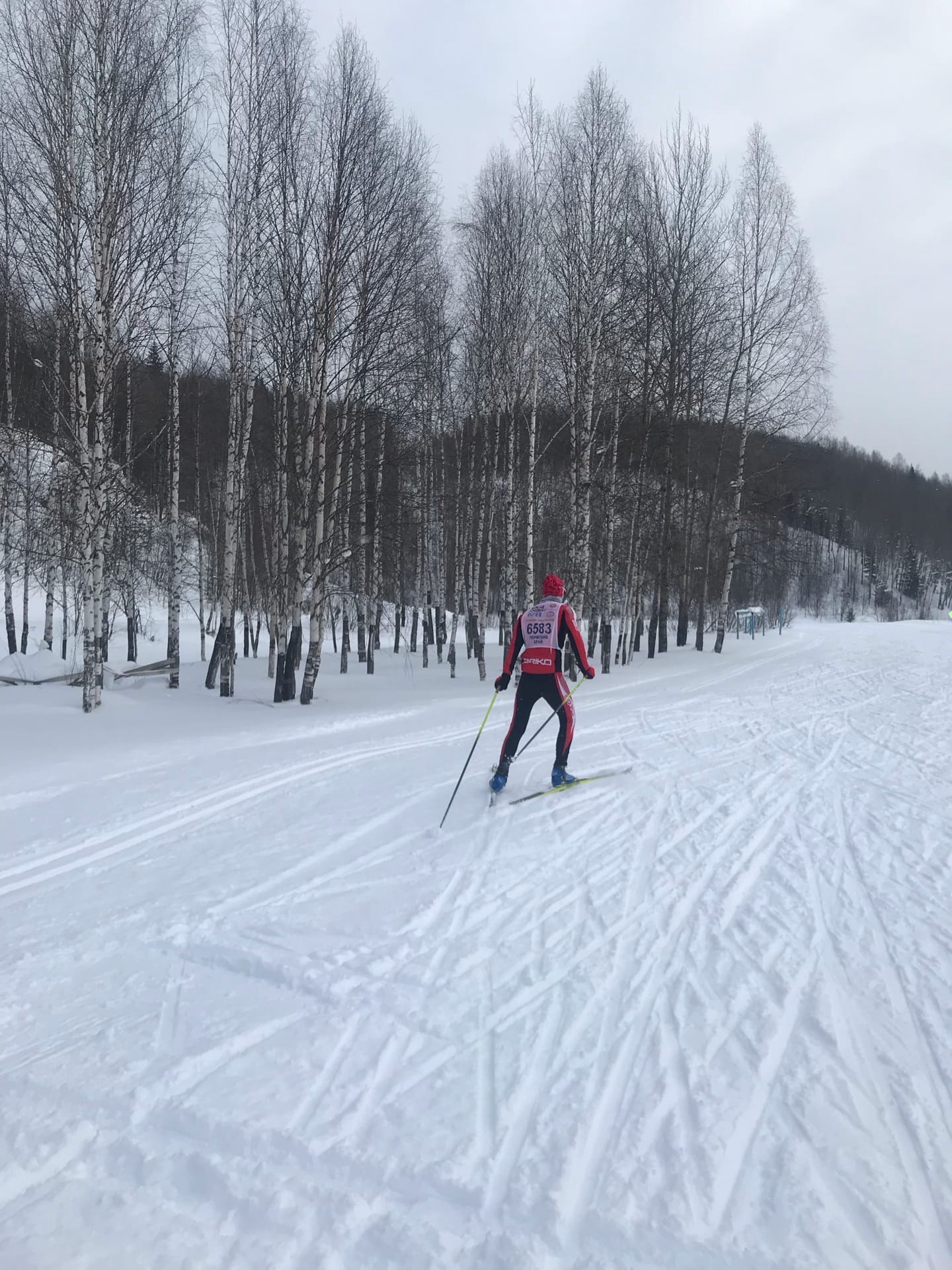 Цандер Александр Юрьевич